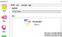 视频加速插件,高效观看体验的秘密武器